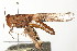  ( - 09BBORTH-0020)  @14 [ ] CreativeCommons - Attribution (2009) Unspecified Centre for Biodiversity Genomics