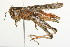  ( - 09BBORTH-0032)  @14 [ ] CreativeCommons - Attribution (2009) Unspecified Centre for Biodiversity Genomics