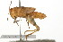  ( - 09BBORTH-0081)  @14 [ ] CreativeCommons - Attribution (2009) Unspecified Centre for Biodiversity Genomics