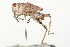  ( - 09BBORTH-0089)  @14 [ ] CreativeCommons - Attribution (2009) Unspecified Centre for Biodiversity Genomics