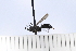  ( - UUPomp_011)  @11 [ ] Copyright (2024) Jeremy Blaschke Union University