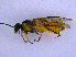  ( - UZSAV123)  @11 [ ] CreativeCommons  Attribution Non-Commercial Share-Alike (2022) Martin Secansky Slovak National Museum-Natural History Museum
