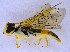  ( - UZSAV130)  @11 [ ] CreativeCommons  Attribution Non-Commercial Share-Alike (2022) Martin Secansky Slovak National Museum-Natural History Museum