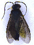  ( - UZSAV142)  @11 [ ] CreativeCommons  Attribution Non-Commercial Share-Alike (2022) Martin Secansky Slovak National Museum-Natural History Museum