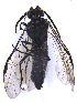 ( - UZSAV144)  @11 [ ] CreativeCommons  Attribution Non-Commercial Share-Alike (2022) Martin Secansky Slovak National Museum-Natural History Museum