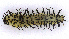  ( - UZSAV199)  @11 [ ] CreativeCommons  Attribution Non-Commercial Share-Alike (2022) Martin Secansky Slovak National Museum-Natural History Museum
