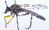  ( - UZSAV200)  @11 [ ] CreativeCommons  Attribution Non-Commercial Share-Alike (2023) Martin Secansky Slovak National Museum-Natural History Museum