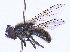  ( - UZSAV241)  @11 [ ] CreativeCommons  Attribution Non-Commercial Share-Alike (2023) Martin Secansky Slovak National Museum-Natural History Museum