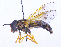 ( - UZSAV246)  @11 [ ] CreativeCommons  Attribution Non-Commercial Share-Alike (2023) Martin Secansky Slovak National Museum-Natural History Museum