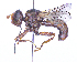  ( - UZSAV284)  @11 [ ] CreativeCommons  Attribution Non-Commercial Share-Alike (2023) Martin Secansky Slovak National Museum-Natural History Museum