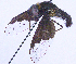  ( - UZSAV296)  @11 [ ] CreativeCommons  Attribution Non-Commercial Share-Alike (2023) Martin Secansky Slovak National Museum-Natural History Museum