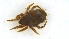  ( - UZSAV432)  @11 [ ] CreativeCommons  Attribution Non-Commercial Share-Alike (2023) Martin Secansky Slovak National Museum-Natural History Museum