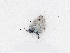  ( - UZSAV40)  @11 [ ] by-nc-sa (2022) M. Secansky Slovak National Museum-Natural History Museum