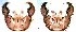  ( - 2023.08.25 Corynoptera cursor (specimen 8))  @11 [ ] CreativeCommons - Attribution Share-Alike (2024) Unspecified University of Lausanne