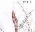  ( - 2023.08.22 Parametriocnemus (specimen 5))  @11 [ ] CreativeCommons - Attribution Share-Alike (2024) Unspecified University of Lausanne