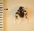  ( - ARVAQ-231-EC)  @11 [ ] CC BY-NC 4.0 (2025) Unspecified INIBIOMA