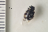  ( - ARVAQ-289-EC)  @11 [ ] CC BY-NC 4.0 (2025) Unspecified INIBIOMA
