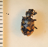  ( - ARVAQ-383-CQO)  @11 [ ] CC BY-NC 4.0 (2025) Unspecified INIBIOMA