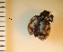  ( - ARVAQ-446-CQO)  @11 [ ] CC BY-NC 4.0 (2025) Unspecified INIBIOMA