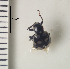 ( - ARVAQ-626-EC)  @11 [ ] CC BY-NC 4.0 (2025) Unspecified INIBIOMA