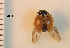  ( - ARVAQ-849-CE)  @11 [ ] CC BY-NC 4.0 (2025) Unspecified INIBIOMA