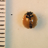  ( - ARVAQ-903-AD)  @11 [ ] CC BY-NC 4.0 (2025) Unspecified INIBIOMA