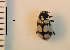  ( - ARVAQ-904-EE)  @11 [ ] CC BY-NC 4.0 (2025) Unspecified INIBIOMA