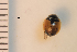  ( - ARVAQ-906-AD)  @11 [ ] CC BY-NC 4.0 (2025) Unspecified INIBIOMA