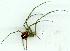  ( - gvc10227-1L)  @13 [ ] Copyright (2004) Unspecified Unspecified