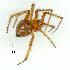 ( - gvc10603-1L)  @13 [ ] Copyright (2004) Unspecified Unspecified