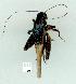  ( - gvc11303-1L)  @12 [ ] Copyright (2004) Unspecified Unspecified