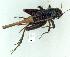  ( - gvc11411-1L)  @14 [ ] Copyright (2004) Unspecified Unspecified