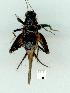  ( - gvc11416-1L)  @12 [ ] Copyright (2004) Unspecified Unspecified