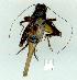  ( - gvc11425-1L)  @14 [ ] Copyright (2004) Unspecified Unspecified