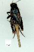  ( - gvc11426-1L)  @13 [ ] Copyright (2004) Unspecified Unspecified