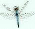 ( - gvc11455-1L)  @13 [ ] Copyright (2004) Unspecified Unspecified