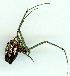  ( - gvc12046-1L)  @13 [ ] Copyright (2004) Unspecified Unspecified