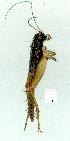  ( - gvc12138-1L)  @12 [ ] Copyright (2004) Unspecified Unspecified