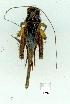  ( - gvc12141-1L)  @12 [ ] Copyright (2004) Unspecified Unspecified