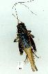  ( - gvc12142-1L)  @14 [ ] Copyright (2004) Unspecified Unspecified