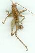  ( - gvc12157-1L)  @14 [ ] Copyright (2004) Unspecified Unspecified