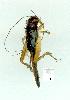  ( - gvc12291-1L)  @12 [ ] Copyright (2004) Unspecified Unspecified