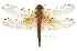  ( - gvc1622-1L)  @11 [ ] Copyright (2004) Unspecified Unspecified