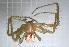  ( - TOM_PL_054)  @11 [ ] CreativeCommons Attribution NonCommercial ShareAlike (2021) (2021) University of Lodz Unspecified