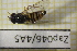  ( - Zap046)  @11 [ ] CreativeCommons  Attribution Non-Commercial Share-Alike (2022) Unspecified University of Lodz