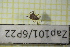  ( - Zap101)  @11 [ ] CreativeCommons  Attribution Non-Commercial Share-Alike (2022) Unspecified University of Lodz