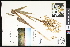  ( - CCDB-23956-E04)  @11 [ ] CreativeCommons - Attribution (2015) Department of Agriculture Agriculture and Agri-Food Canada National Collection of Vascular Plants (DAO