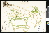  (Elymus curvatus - CCDB-23956-E09)  @11 [ ] CreativeCommons - Attribution (2015) Department of Agriculture Agriculture and Agri-Food Canada National Collection of Vascular Plants (DAO