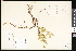  ( - CCDB-23956-H04)  @11 [ ] CreativeCommons - Attribution (2015) Department of Agriculture Agriculture and Agri-Food Canada National Collection of Vascular Plants (DAO