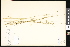  ( - CCDB-23956-H06)  @11 [ ] CreativeCommons - Attribution (2015) Department of Agriculture Agriculture and Agri-Food Canada National Collection of Vascular Plants (DAO